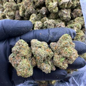 Girl Scout Cookies