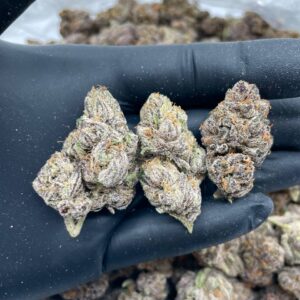 Bruce Banner